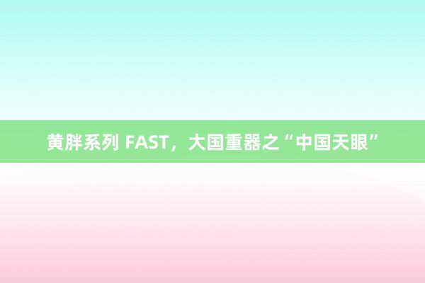 黄胖系列 FAST，大国重器之“中国天眼”