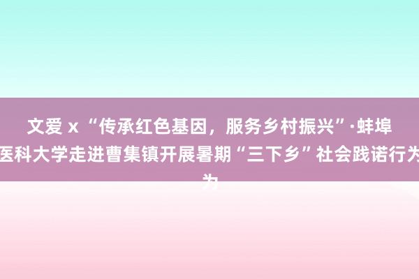 文爱 x “传承红色基因，服务乡村振兴”·蚌埠医科大学走进曹集镇开展暑期“三下乡”社会践诺行为