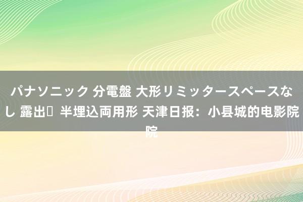 パナソニック 分電盤 大形リミッタースペースなし 露出・半埋込両用形 天津日报：小县城的电影院