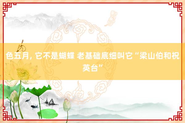 色五月， 它不是蝴蝶 老基础底细叫它“梁山伯和祝英台”