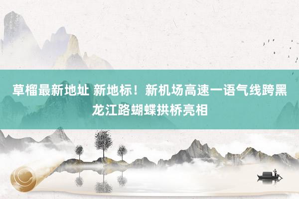 草榴最新地址 新地标！新机场高速一语气线跨黑龙江路蝴蝶拱桥亮相