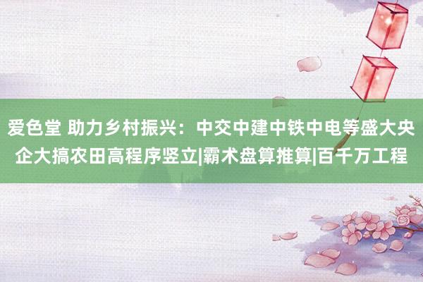 爱色堂 助力乡村振兴：中交中建中铁中电等盛大央企大搞农田高程序竖立|霸术盘算推算|百千万工程