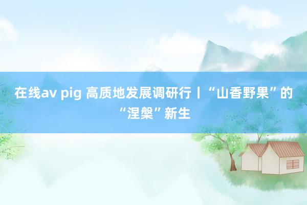 在线av pig 高质地发展调研行丨“山香野果”的“涅槃”新生