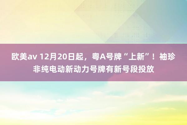 欧美av 12月20日起，粤A号牌“上新”！袖珍非纯电动新动力号牌有新号段投放