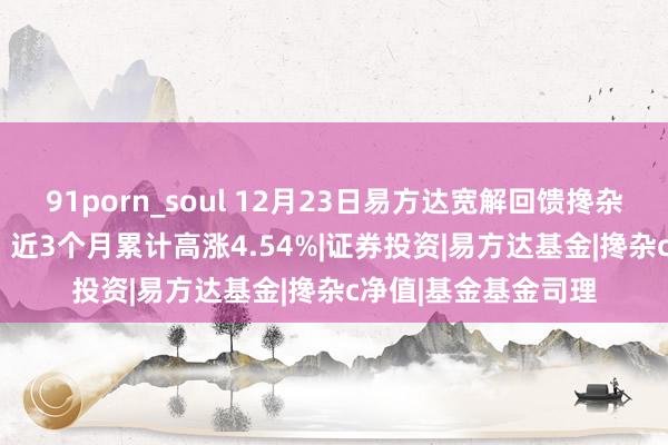 91porn_soul 12月23日易方达宽解回馈搀杂C净值增长0.17%，近3个月累计高涨4.54%|证券投资|易方达基金|搀杂c净值|基金基金司理