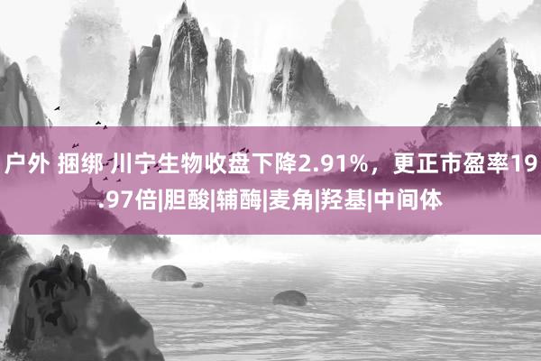 户外 捆绑 川宁生物收盘下降2.91%，更正市盈率19.97倍|胆酸|辅酶|麦角|羟基|中间体